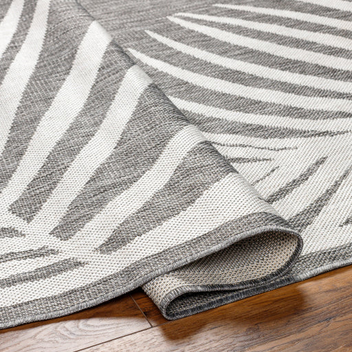 Surya Long Beach LBH-2350 Charcoal Coastal  Rug