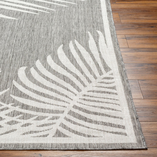 Surya Long Beach LBH-2350 Charcoal Coastal  Rug