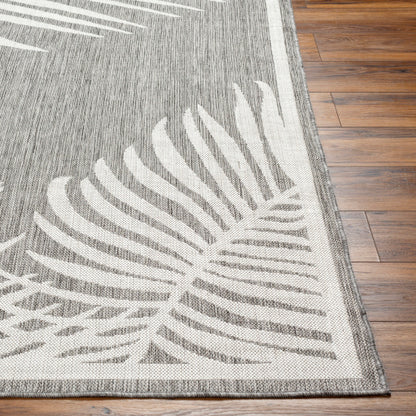 Surya Long Beach LBH-2350 Charcoal Coastal  Rug