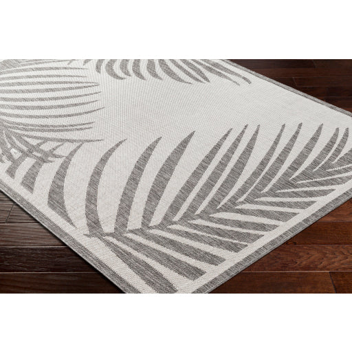 Surya Long Beach LBH-2352 Charcoal Coastal  Rug