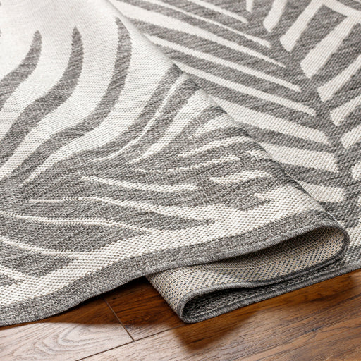 Surya Long Beach LBH-2352 Charcoal Coastal  Rug