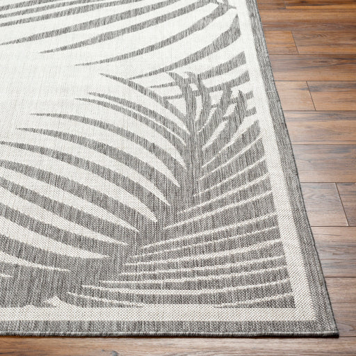 Surya Long Beach LBH-2352 Charcoal Coastal  Rug