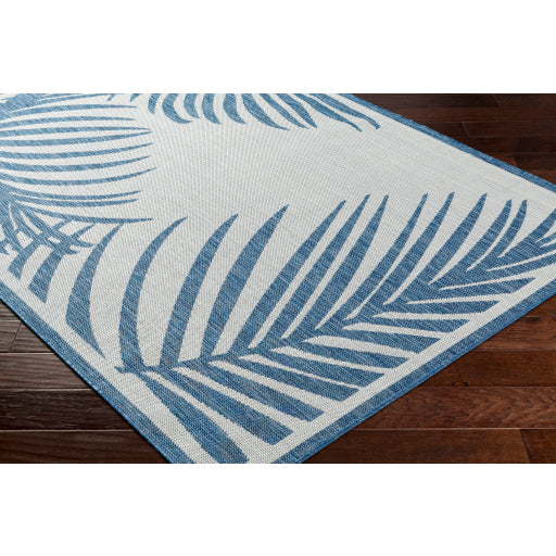 Surya Long Beach LBH-2354 Navy Coastal  Rug