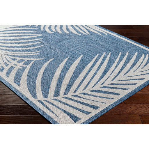 Surya Long Beach LBH-2356 Navy Coastal  Rug