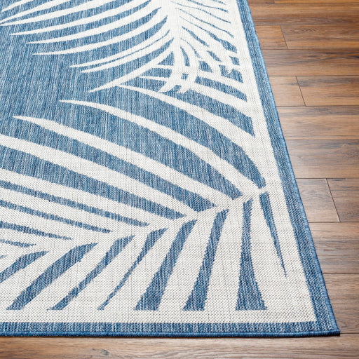 Surya Long Beach LBH-2356 Navy Coastal  Rug
