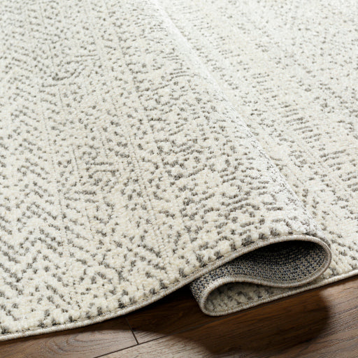 Surya La Boheme LHB-2302 Ivory Global  Rug