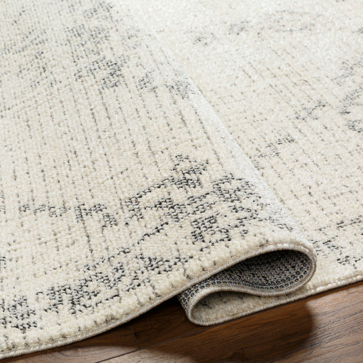 Surya La Boheme LHB-2303 Ivory Traditional  Rug