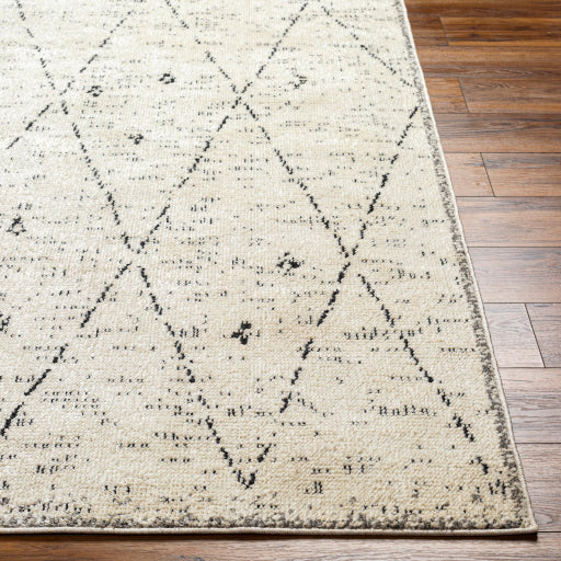 Surya La Boheme LHB-2304 Ivory Global  Rug