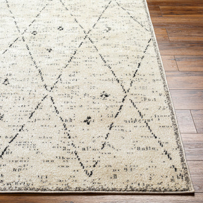 Surya La Boheme LHB-2304 Ivory Global  Rug