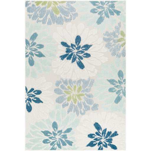 Surya Lakeside LKD-2300 Cream Coastal  Rug