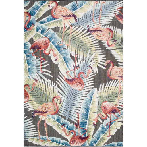 Surya Lakeside LKD-2304 Charcoal Coastal  Rug