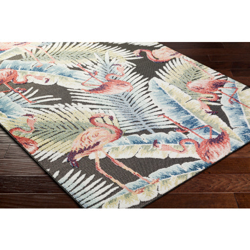 Surya Lakeside LKD-2304 Charcoal Coastal  Rug