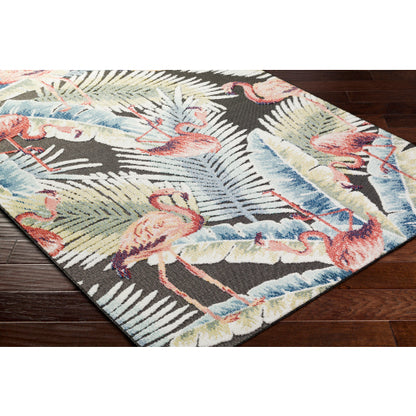 Surya Lakeside LKD-2304 Charcoal Coastal  Rug