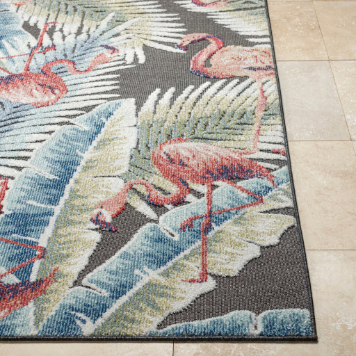 Surya Lakeside LKD-2304 Charcoal Coastal  Rug