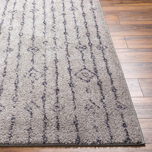 Surya Lykke LKK-2300 Light Gray Global  Rug