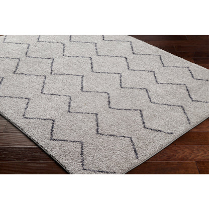 Surya Lykke LKK-2304 Light Gray Global  Rug