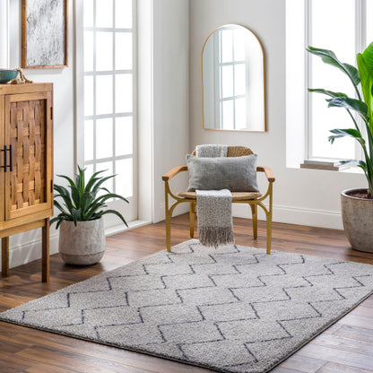 Surya Lykke LKK-2304 Light Gray Global  Rug
