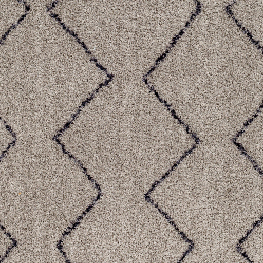 Surya Lykke LKK-2304 Light Gray Global  Rug