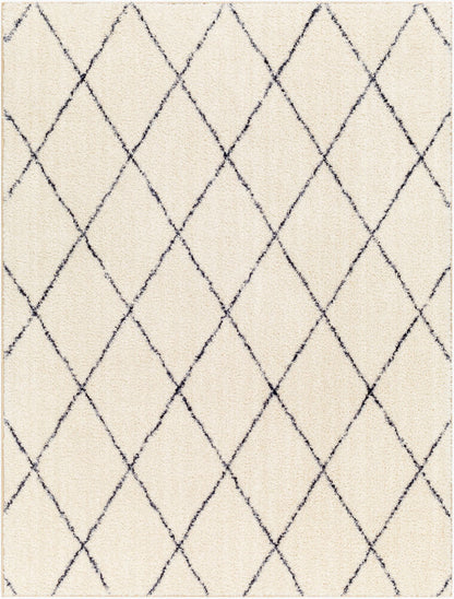 Surya Lykke LKK-2306 Ivory Global Machine Woven Rug