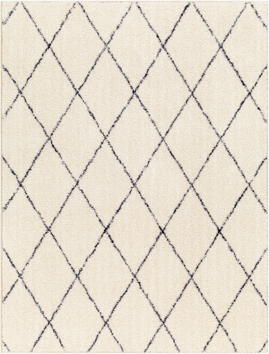 Surya Lykke LKK-2306 Ivory Global Machine Woven Rug