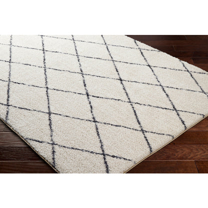 Surya Lykke LKK-2306 Ivory Global  Rug