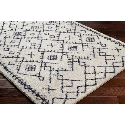 Surya Lykke LKK-2308 Ivory Global  Rug