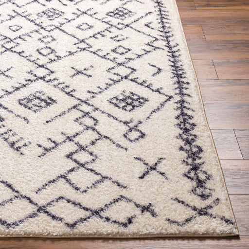 Surya Lykke LKK-2308 Ivory Global  Rug