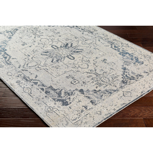 Surya Lillian LLL-2300 Oatmeal Traditional  Rug