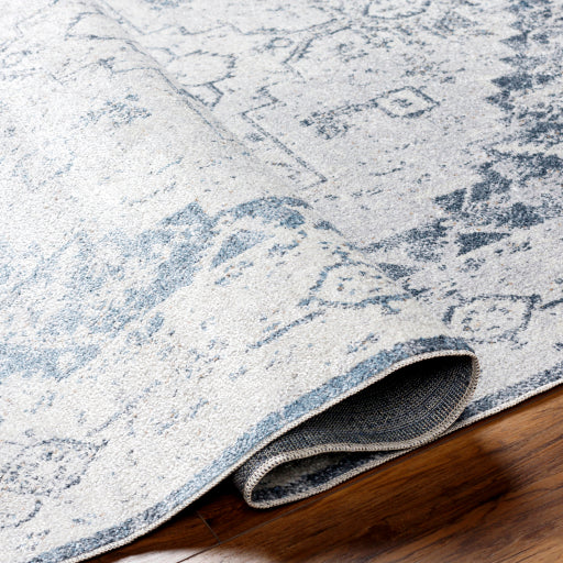 Surya Lillian LLL-2300 Oatmeal Traditional  Rug