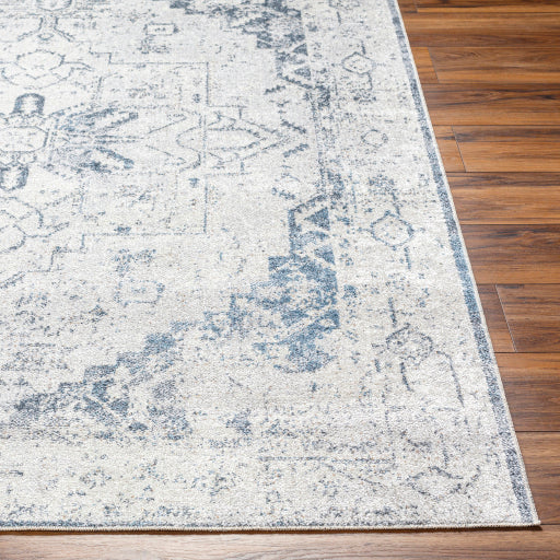 Surya Lillian LLL-2300 Oatmeal Traditional  Rug