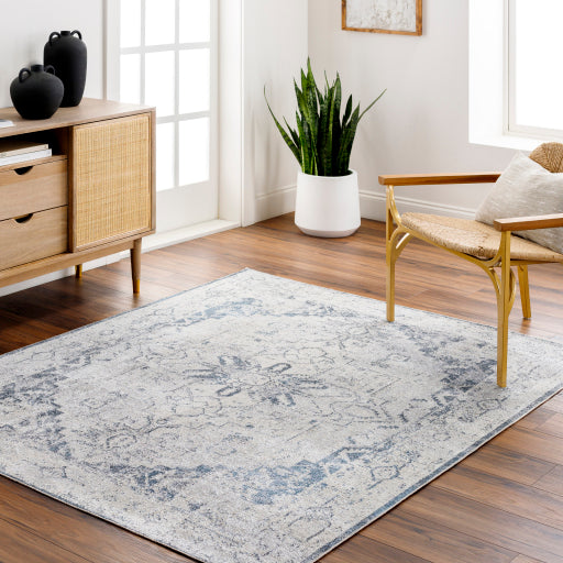Surya Lillian LLL-2300 Oatmeal Traditional  Rug
