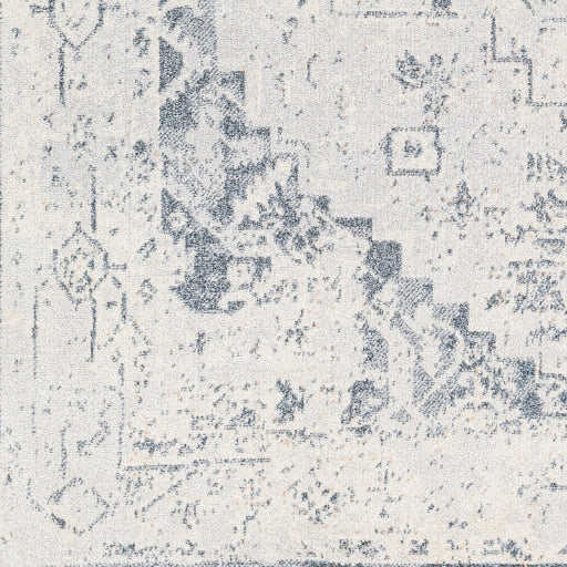 Surya Lillian LLL-2300 Oatmeal Traditional  Rug