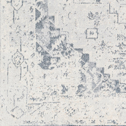 Surya Lillian LLL-2300 Oatmeal Traditional  Rug