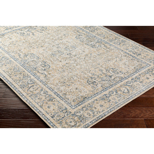 Surya Lillian LLL-2303 Oatmeal Traditional  Rug