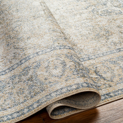 Surya Lillian LLL-2303 Oatmeal Traditional  Rug
