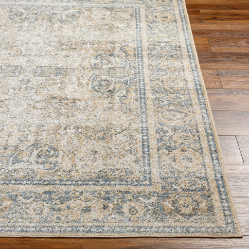 Surya Lillian LLL-2303 Oatmeal Traditional  Rug