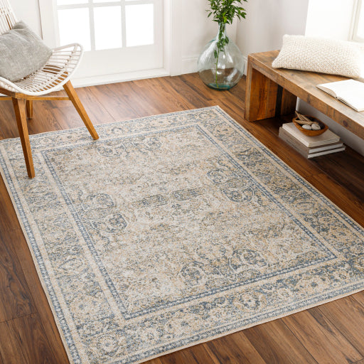 Surya Lillian LLL-2303 Oatmeal Traditional  Rug