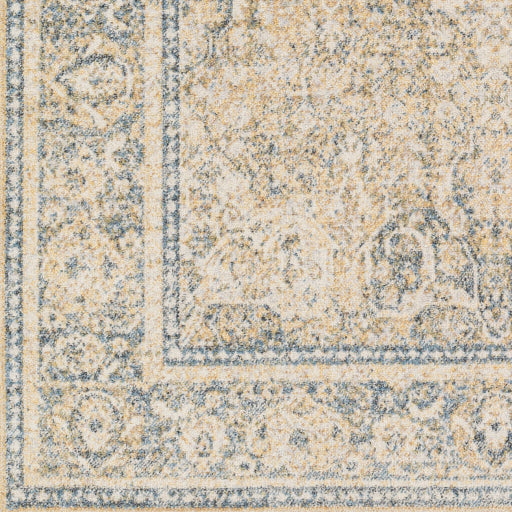 Surya Lillian LLL-2303 Oatmeal Traditional  Rug