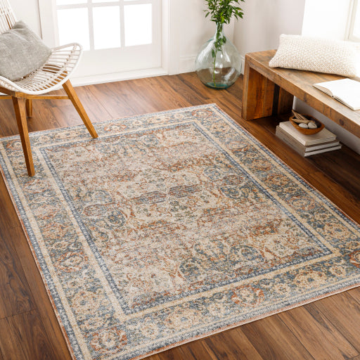 Surya Lillian LLL-2304 Oatmeal Traditional  Rug