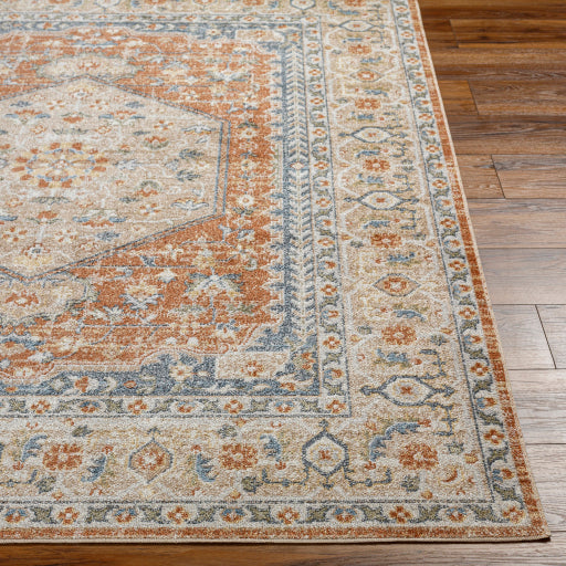 Surya Lillian LLL-2306 Oatmeal Traditional  Rug