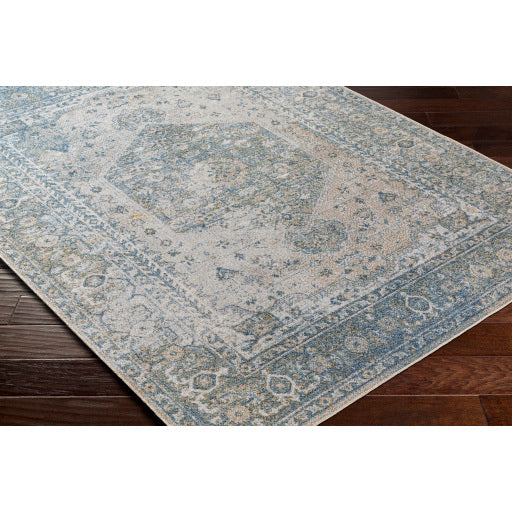 Surya Lillian LLL-2307 Gray Traditional  Rug