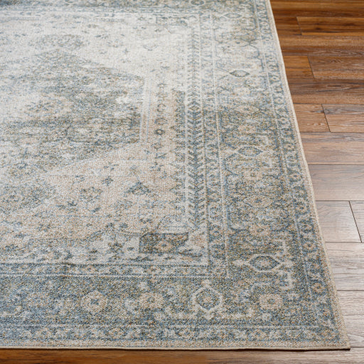 Surya Lillian LLL-2307 Gray Traditional  Rug