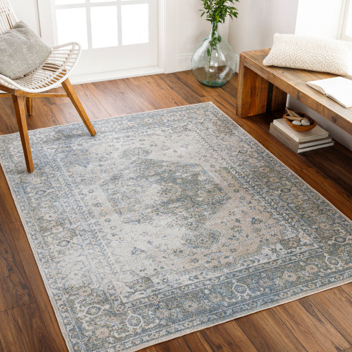 Surya Lillian LLL-2307 Gray Traditional  Rug