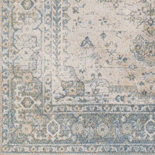 Surya Lillian LLL-2307 Gray Traditional  Rug