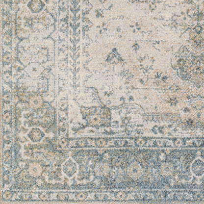 Surya Lillian LLL-2307 Gray Traditional  Rug
