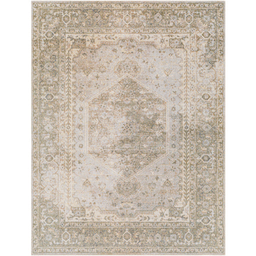 Surya Lillian LLL-2308 Gray Traditional  Rug