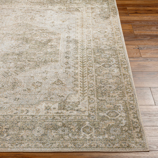 Surya Lillian LLL-2308 Gray Traditional  Rug