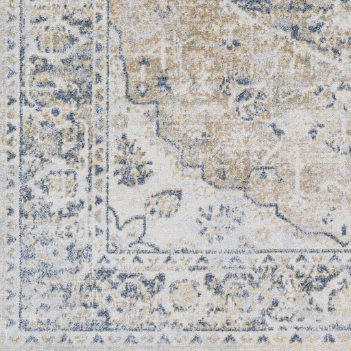 Surya Lillian LLL-2309 Gray Traditional  Rug