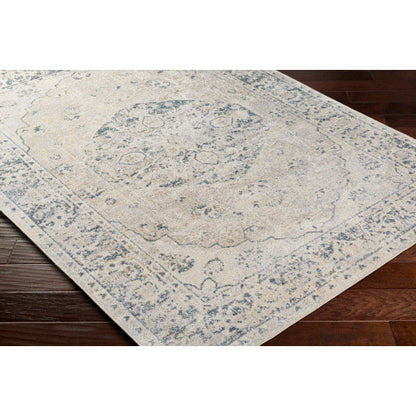 Surya Lillian LLL-2310 Gray Traditional  Rug