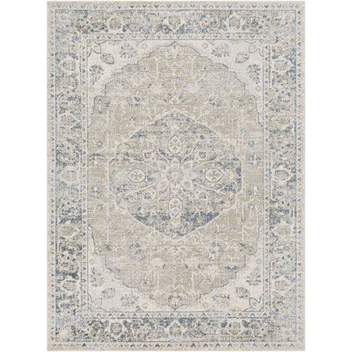 Surya Lillian LLL-2311 Gray Traditional  Rug